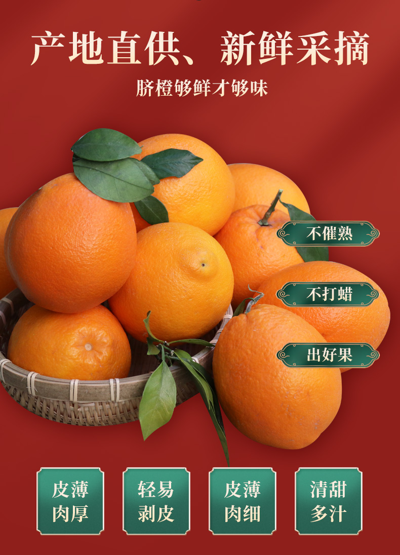 橙子_03.jpg